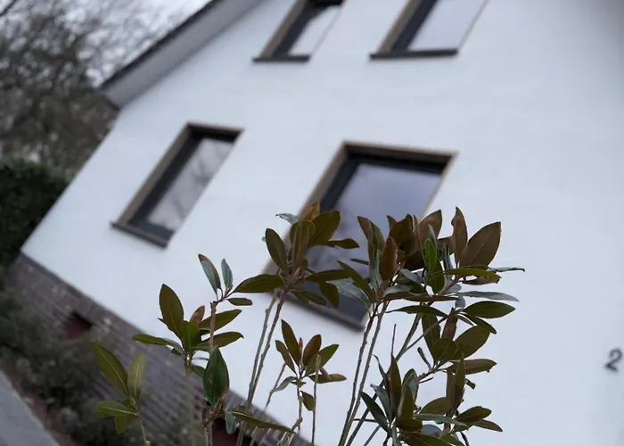 Hafennest - Moderne Bis 4 Personen
